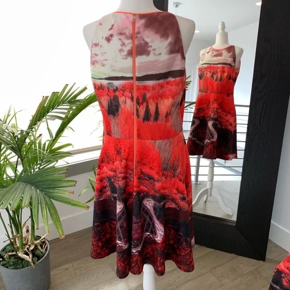 Ted Baker Skater dress Bridge to nowhere print size 10 - Picture 2 of 4